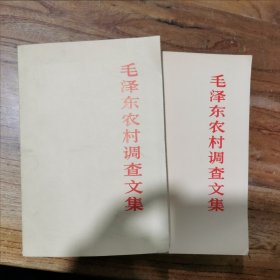 毛泽东农村调查文集