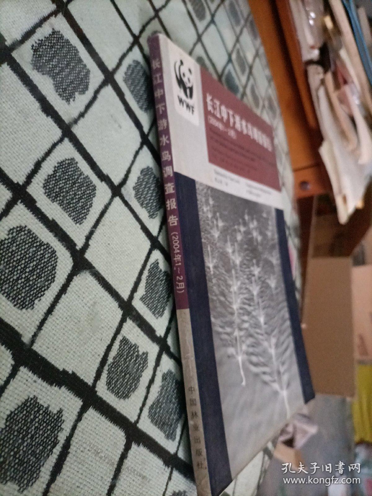 长江中下游水鸟调查报告:2004年1~2月:[中英文本]