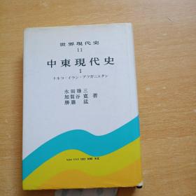 世界现代史11 中东现代史Ⅰ（日文精装原版）