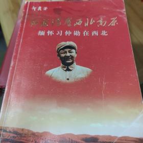 红旗漫卷西北高原：缅怀习仲勋在西北