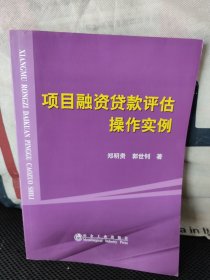 项目融资贷款评估操作实例