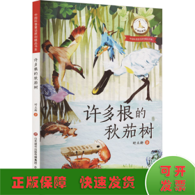 许多根的秋茄树