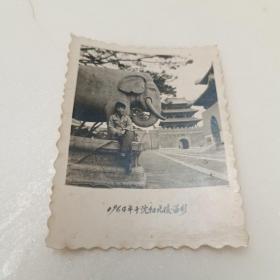 老照片： 1964年于沈阳北陵留影