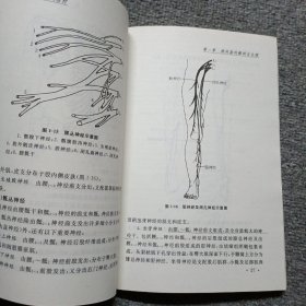 椎间盘突出症的介入治疗（第2版）