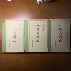 中国文学史（全三册）