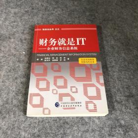 财务就是IT：企业财务信息系统