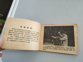 连环画：喜鹊闹梅