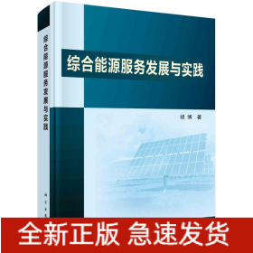 综合能源服务发展与实践
