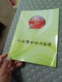 人体解剖诊疗图谱