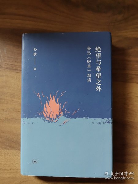 绝望与希望之外：鲁迅《野草》细读