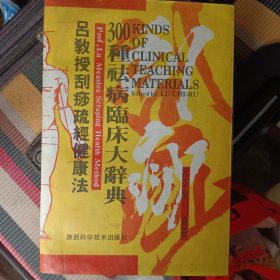 吕教教刮痧疏经健康法300种临床大辞典