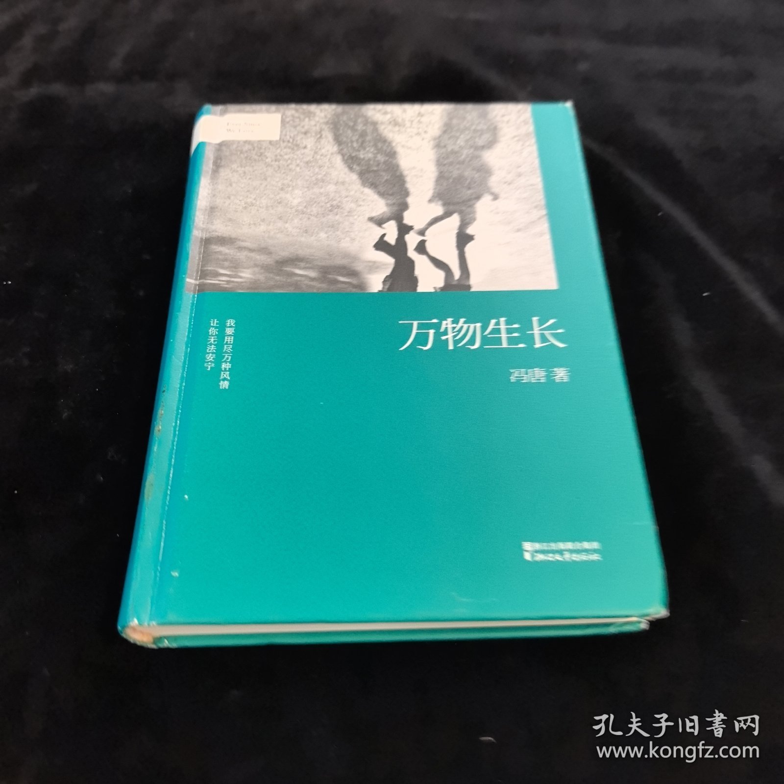 冯唐：万物生长