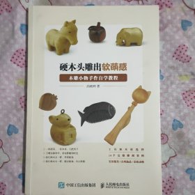 硬木头雕出软萌感木雕小物手作自学教程