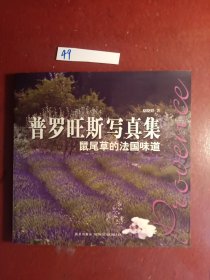 普罗旺斯写真集：鼠尾草的法国味道