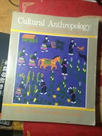 Cultural Anthropology :A Perspective On the Human Condition