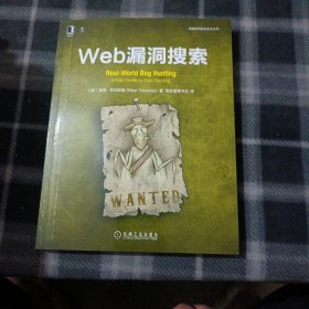 Web漏洞搜索