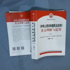 中华人民共和国民法总则 条文理解与适用（套装上下册）