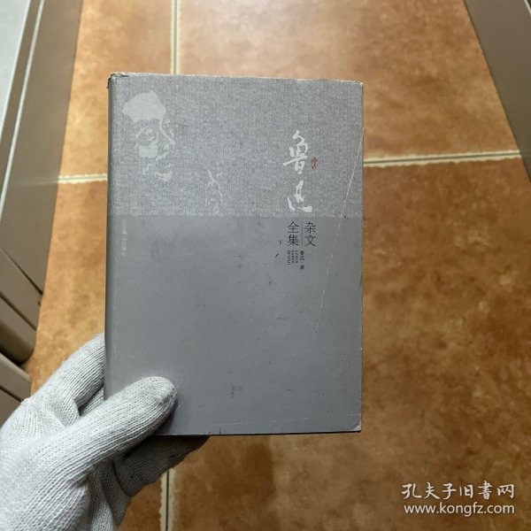 鲁迅杂文全集（上下）