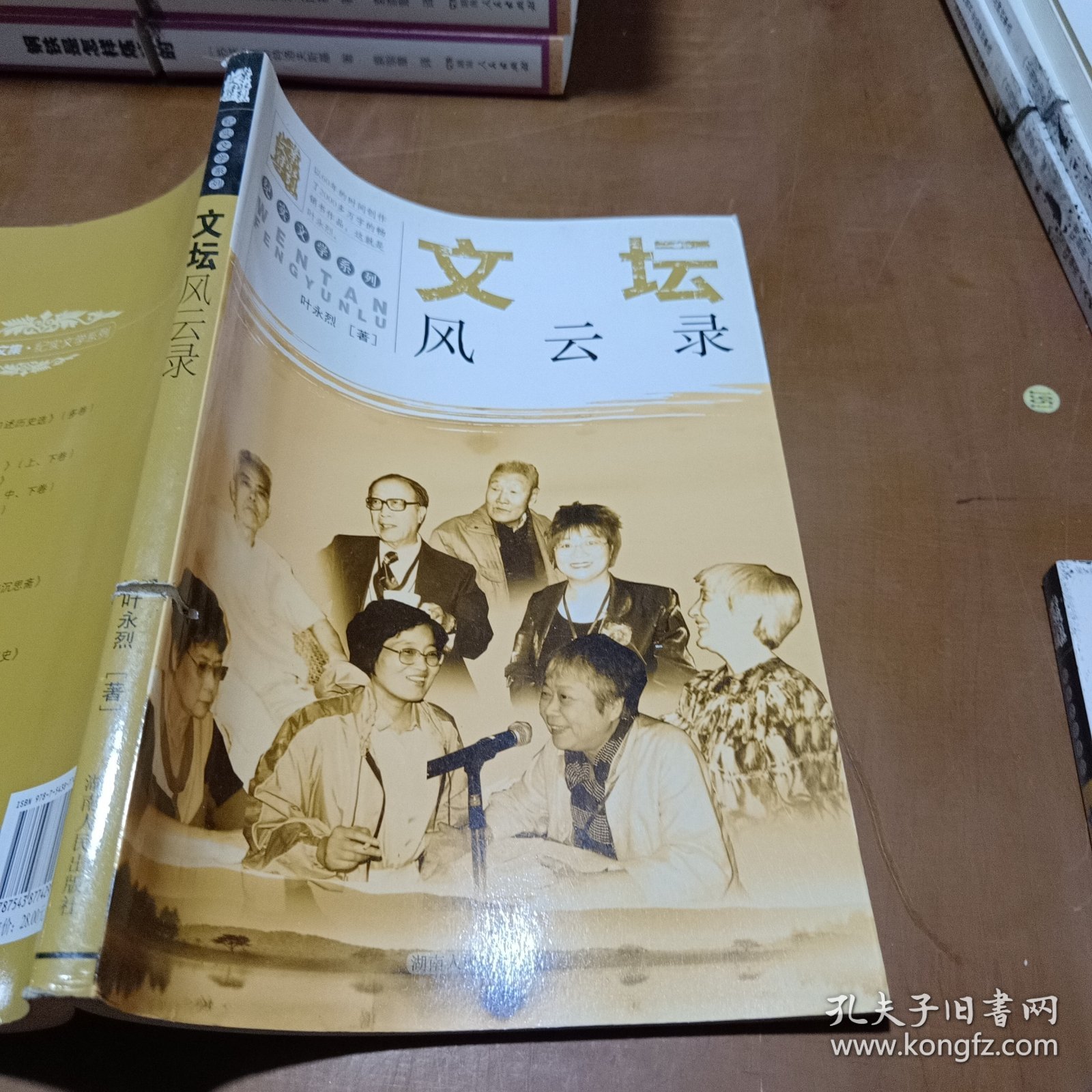 叶永烈文集·纪实文学系列：文坛风云录