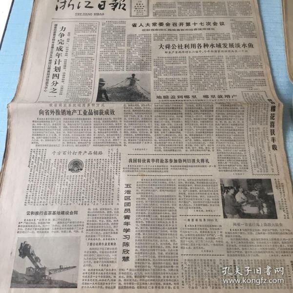 生日老报纸：1982年11月14日浙江日报