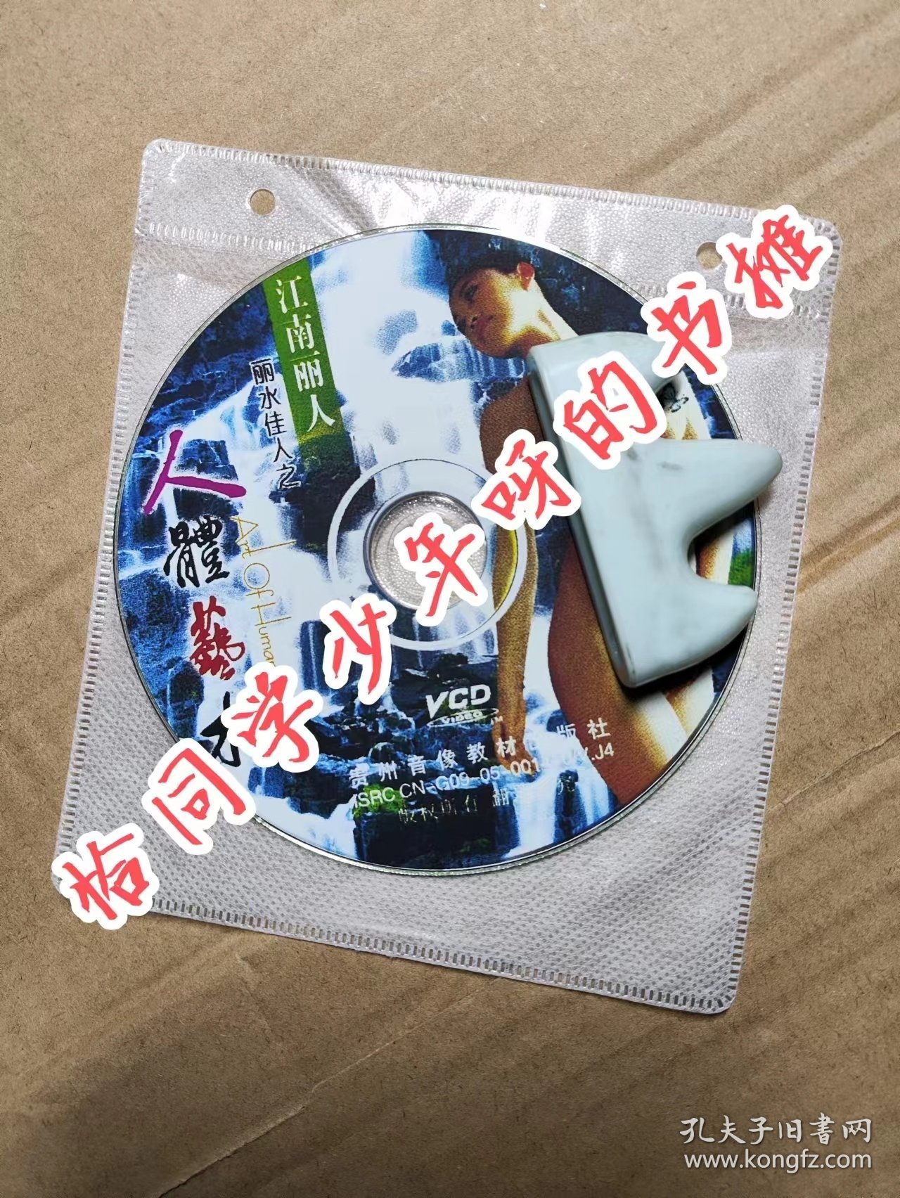 人体艺术 VCD 丽水佳人之 江南丽人 VCD简装 光盘