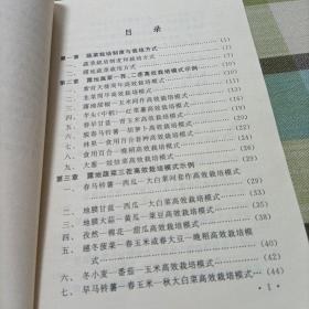 露地蔬菜高效栽培模式