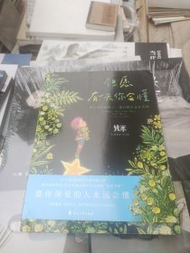 几米：但愿有一天你会懂（平装）