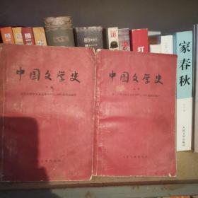 中国文学史（全二册）