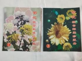 菊花镀金邮票珍藏册1⃣+2⃣