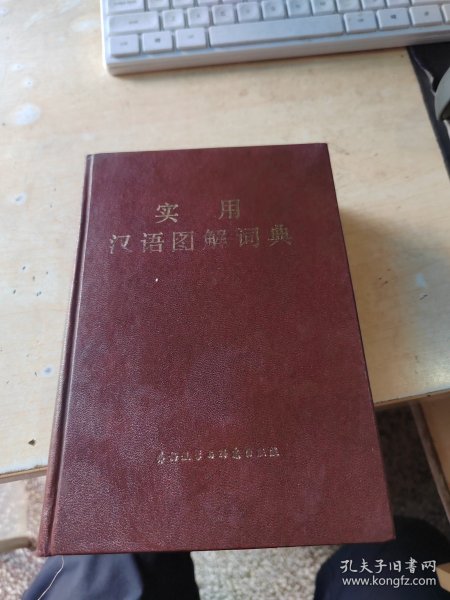 实用汉语图解词典（正版丶无笔记\实物拍摄）