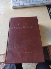 实用汉语图解词典（正版丶无笔记\实物拍摄）