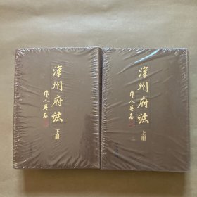 光绪本 漳州府志（上下）全新未拆包装