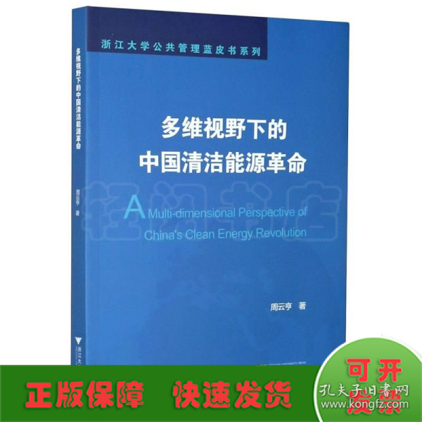 多维视野下的中国清洁能源革命