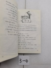 神秘案件 金鹅号的宝藏