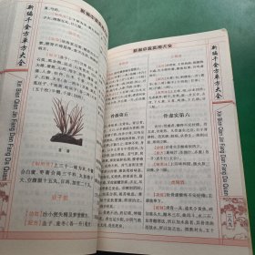 新编偏方秘方大全