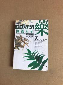 中草药图谱大全