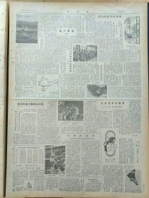 文汇报1982年8月14日：【记田坛明星邹振先和他的教练田兆钟；同济校园里的京剧之花~许锦文（照片）；】~（版面齐全，放心购买）。