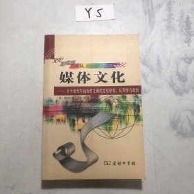 媒体文化：介于现代与后现代之间的文化研究、认同性与政治的新描述