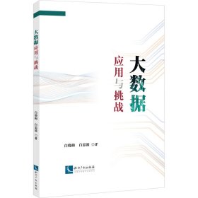 大数据应用与挑战 经济理论、法规 白晓梅,白忠波 新华正版