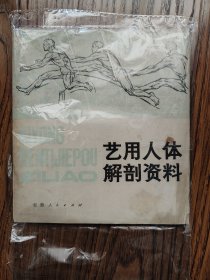 艺用人体解剖资料