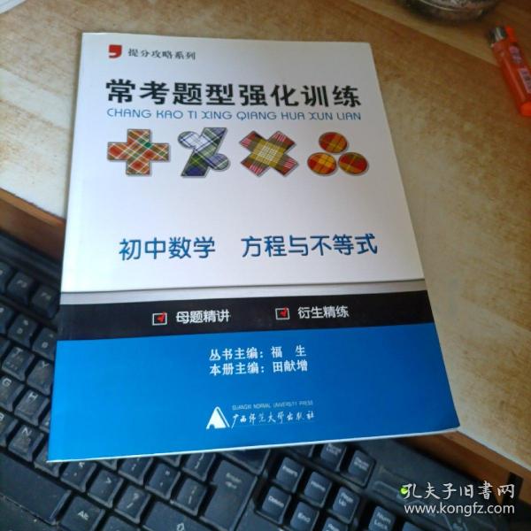 2013提分攻略系列·常考题型强化训练·初中数学：方程与不等式（修订版）