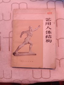艺用人体结构