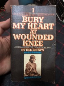 BURY MY HRART AT WOUNDED KNEE