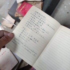 北京日记本 写于1963 1964 写的不多