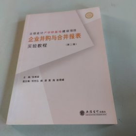 立信会计产学研基地建设项目：企业并购与合并报表实验教程（第2版）