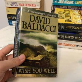 Wish You Well by David Baldacci 英文原版小说