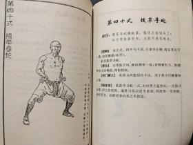 林世荣真传虎鹤双形拳