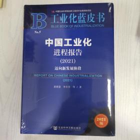 工业化蓝皮书：中国工业化进程报告（2021）