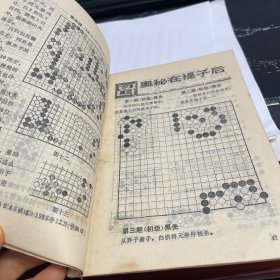 日本围棋2名人战风云