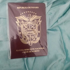 外国护照2